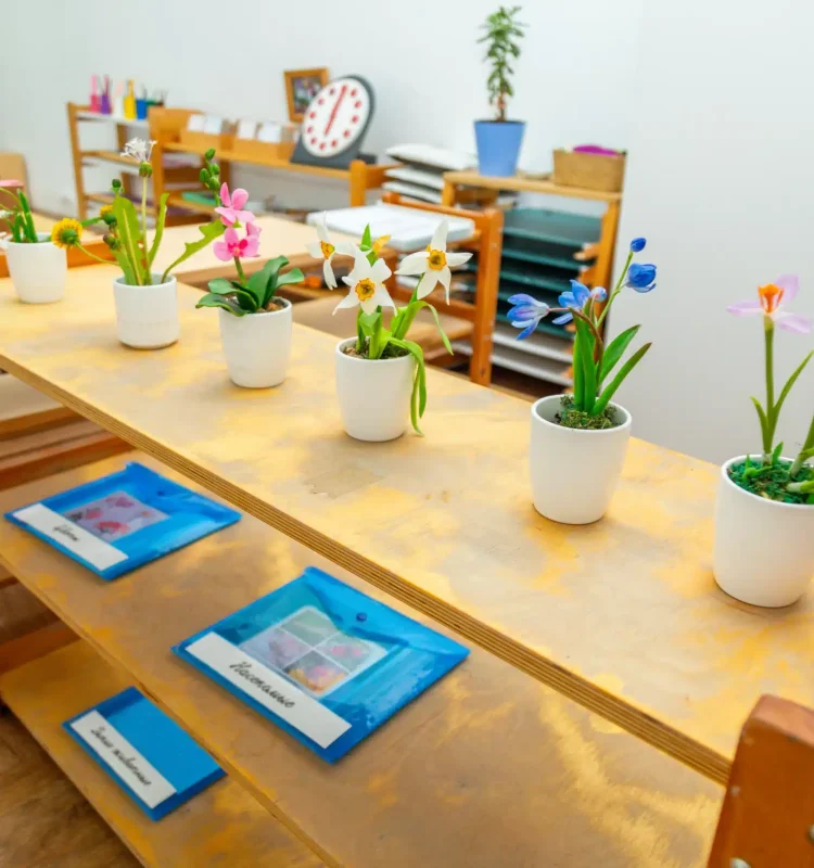 montessori-classroom-with-flowers-and-educational-2026-03-25-04-45-35-utc